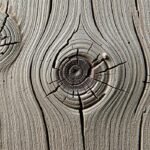 texture of wood